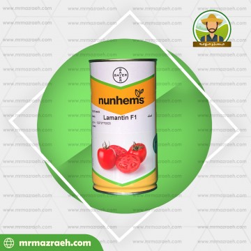 گوجه فرنگی ربکا