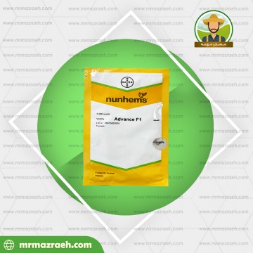 گوجه فرنگی ولنسیا