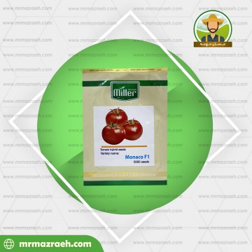 گوجه فرنگی موناکو