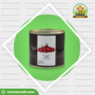 گوجه فرنگی 032